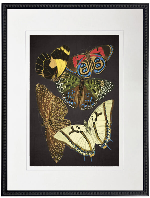 Vintage bright multi butterfly print on a distressed black background matted in a cream mat
