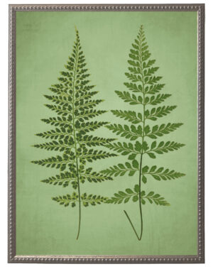 Green fern illustration on a green distressed background