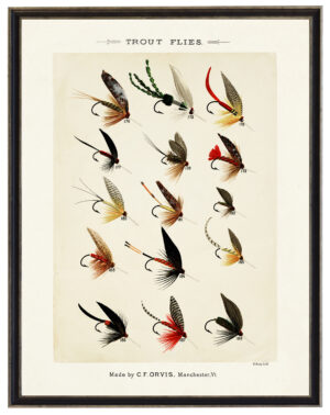 Trout Fishing Flies bookplate