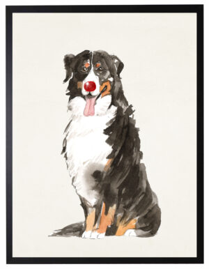Watercolor Bernese Mountain Dog with rudolph nose