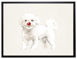 Watercolor Bichon Frise with rudolph nose