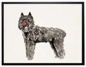 Watercolor Bouvier des Flandres with rudolph nose