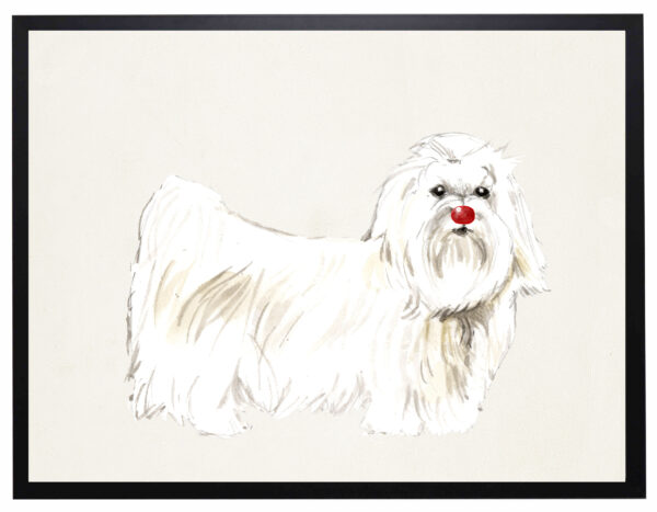 Watercolor Maltese with rudolph nose
