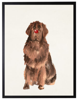 Watercolor  Newfoundland with rudolph nose
