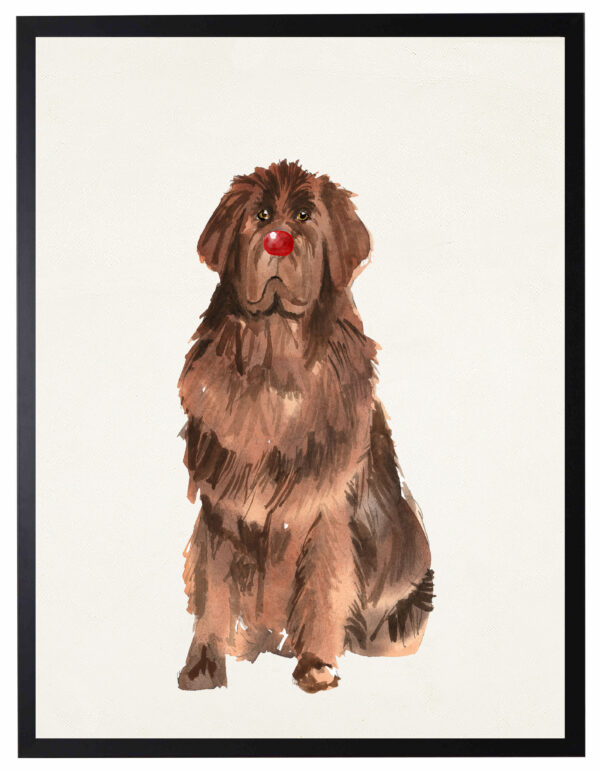 Watercolor  Newfoundland with rudolph nose