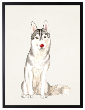 Watercolor Siberian Husky with  rudolph nose