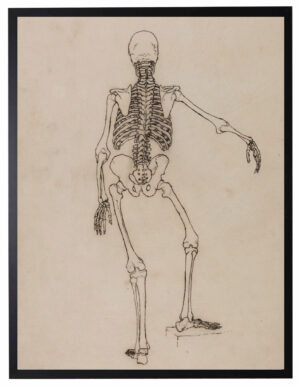 Vintage skeleton drawing on a distressed background