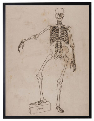 Vintage skeleton drawing on a distressed background