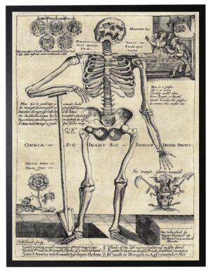Vintage skeleton poster