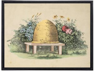 Vintage color bee hive illustration